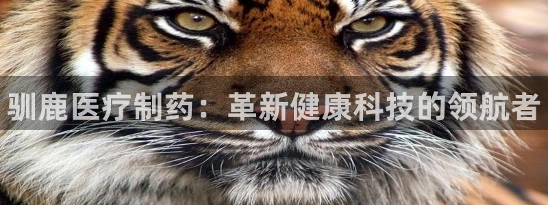 门徒娱乐发展趋势图