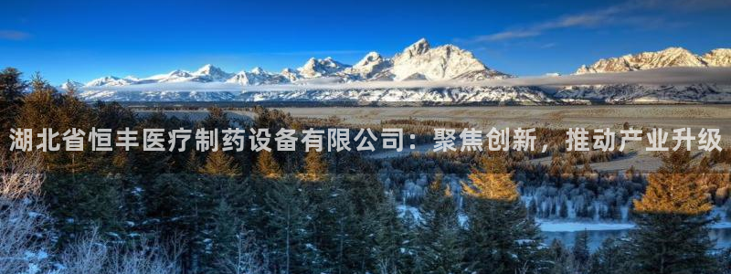 门徒娱乐软件下载安装