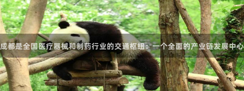 门徒娱乐最新消息今天视频