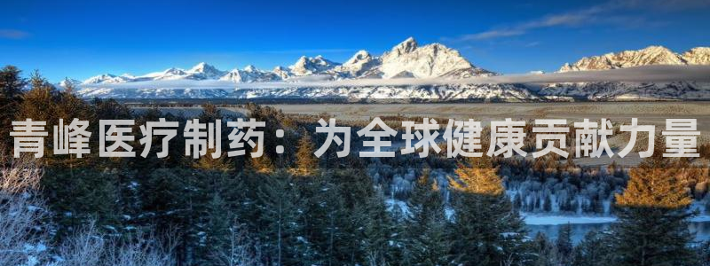 门徒娱乐反水