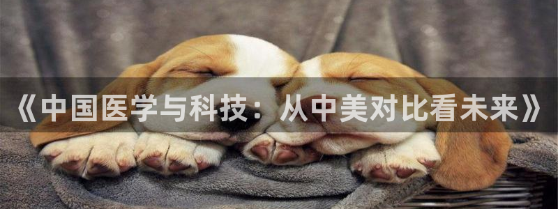 门徒娱乐是什么旗下