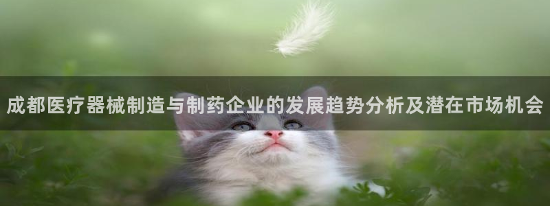 门徒娱乐挂机软件是什么