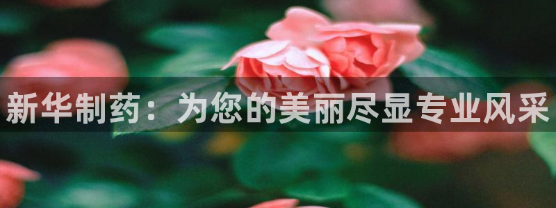 门徒娱乐平台安全吗