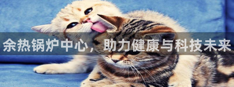 门徒娱乐挂机