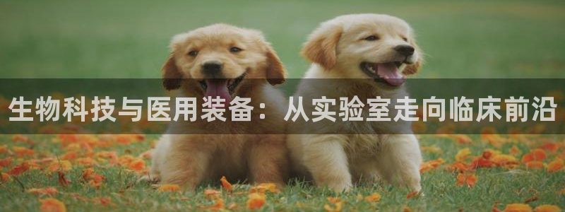 门徒娱乐主管就去判官333OO