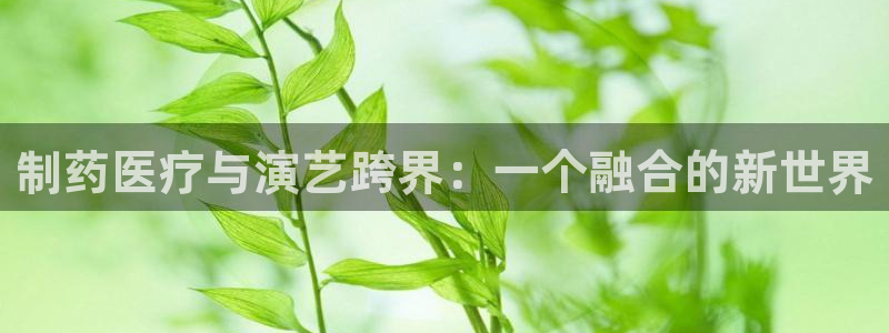 门徒娱乐是干嘛的