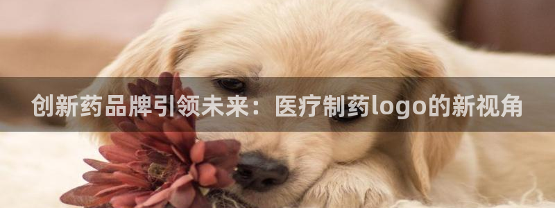 门徒娱乐怎么打不开网页了