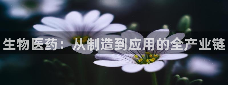 门徒娱乐 圈主管的是谁