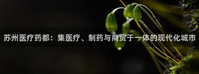 门徒娱乐总代理电话号码查询