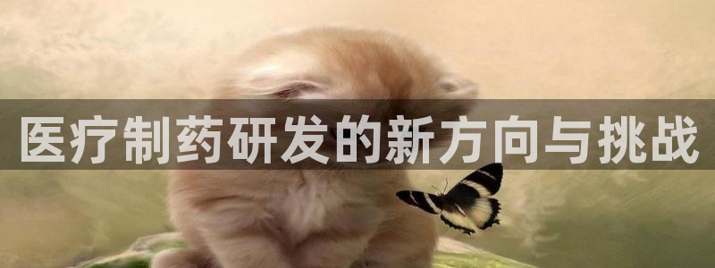 门徒娱乐线路图