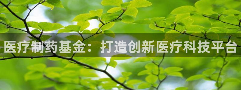 门徒娱乐平台介绍