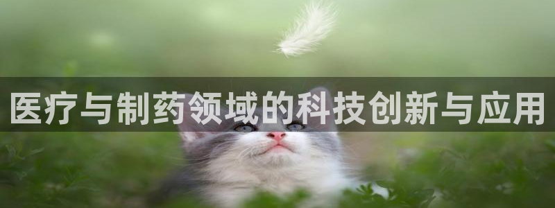 门徒娱乐是做什么的啊