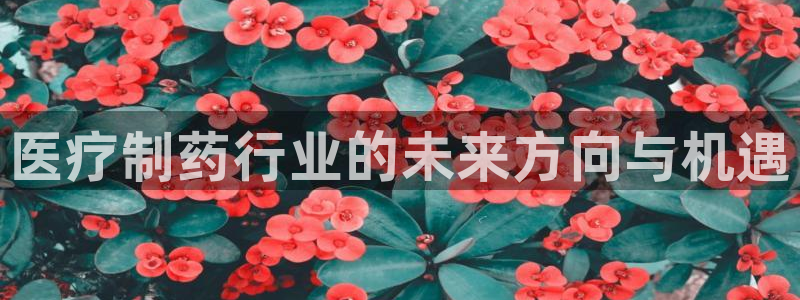 门徒娱乐平台是黑平台吗