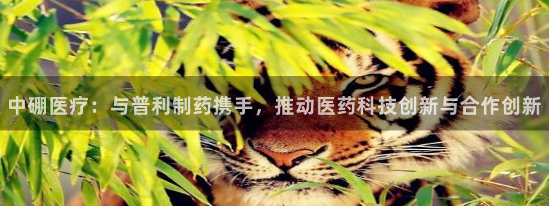 门徒娱乐登陆网站入口