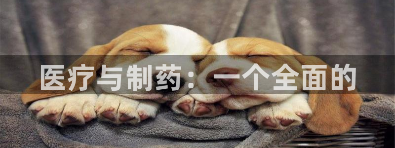 门徒娱乐总代理是谁啊