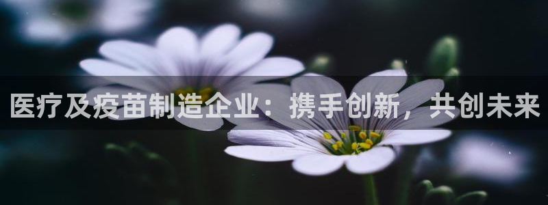 类似娱乐门徒类小说
