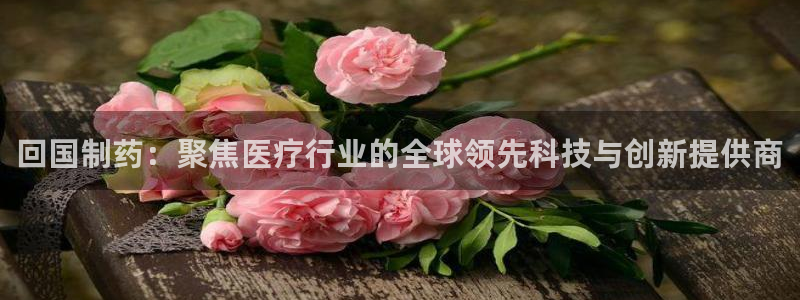 娱乐门徒完结小说网