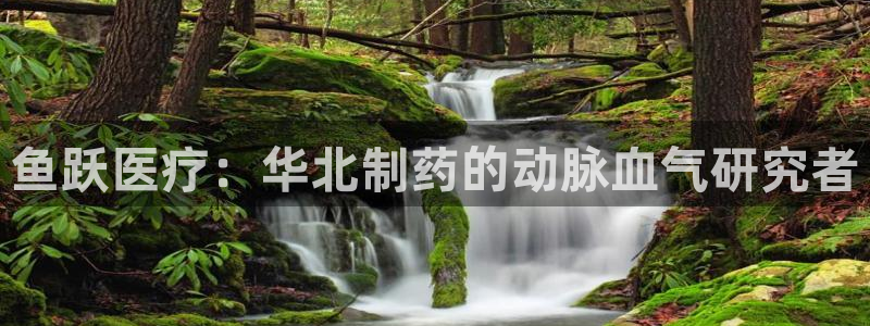 门徒娱乐可以赚钱嘛
