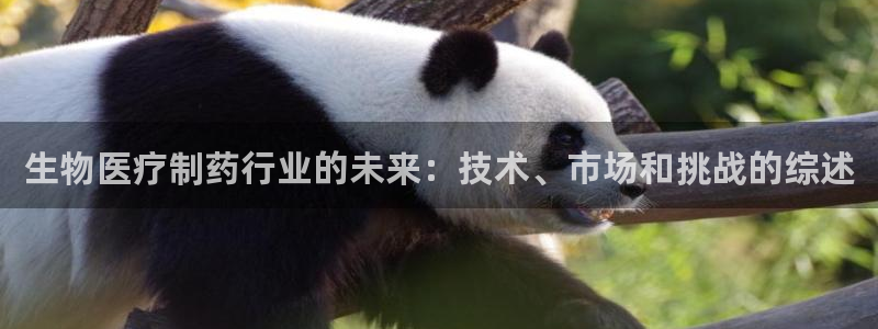 门徒娱乐联盟官网下载