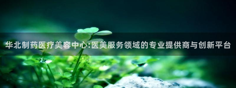 娱乐门徒完结了吗小说