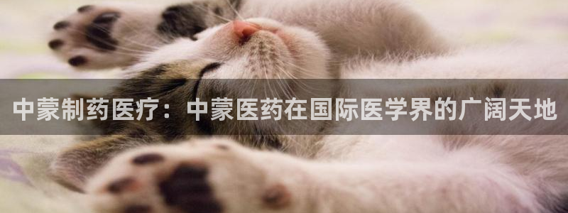 门徒娱乐期刊判官333oo