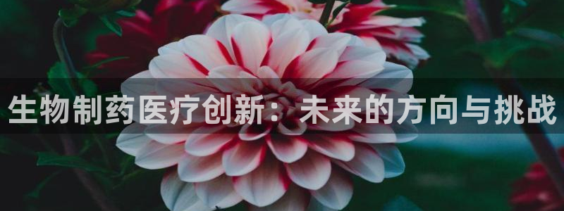 门徒娱乐山67五壹叁八