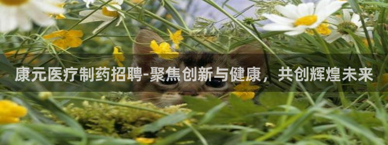 门徒娱乐 找86555