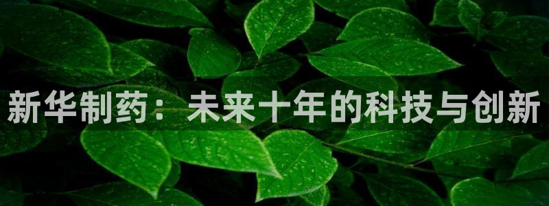 门徒娱乐平台可靠吗知乎