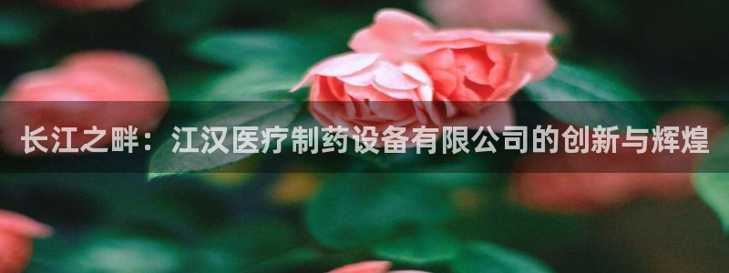 焦点娱乐门徒平台在哪看