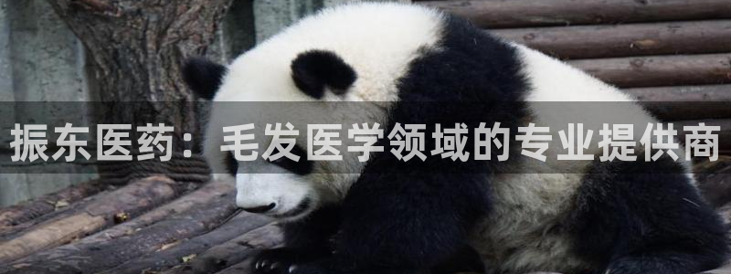 娱乐门徒最新章节免费阅读