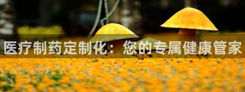 门徒娱乐注册平台网址查询