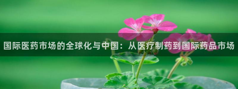 门徒娱乐代理注册官网