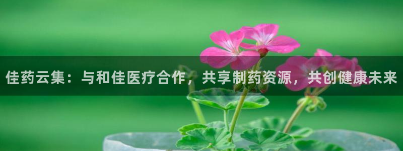 门徒娱乐网页版