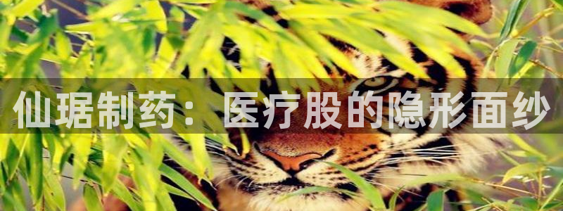 门徒娱乐主管那去判官333OO