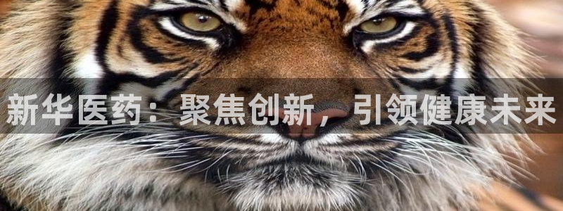 门徒娱乐项目是什么