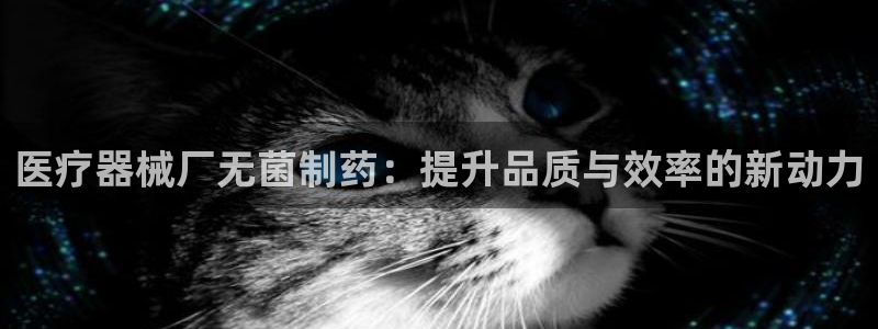 门徒娱乐老板是谁呀