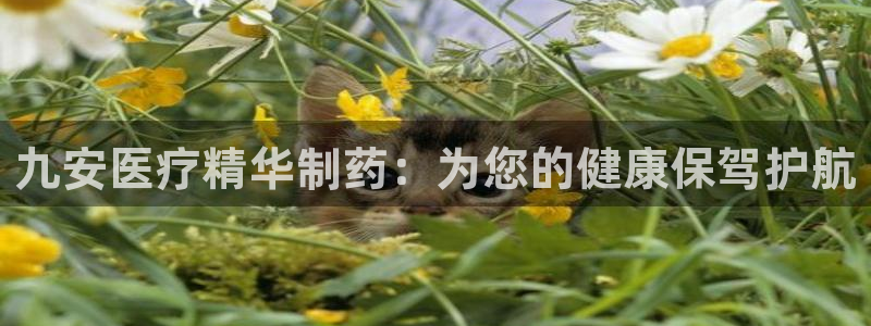 门徒娱乐天5指尖